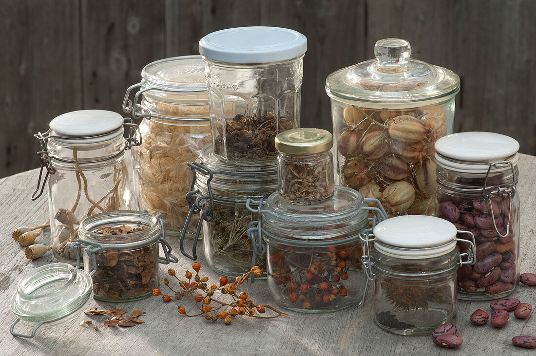 Seeds in glasses