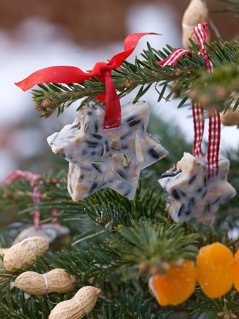 Birdseed Christmas