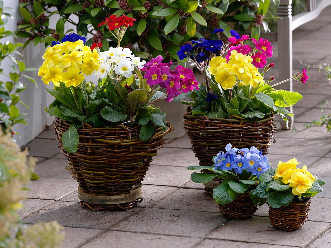 Homemade basket with wooden bottom (8/8)