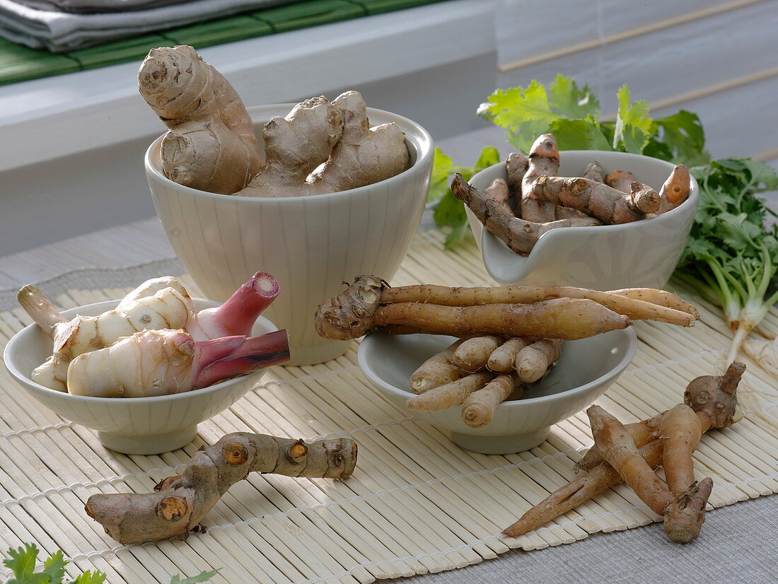 Asian roots from the ginger family as spices for the kitchen