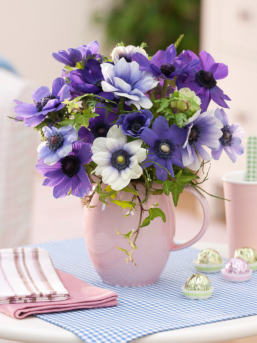 Anemone coronaria (crown anemone), Hedera (ivy) in pitcher