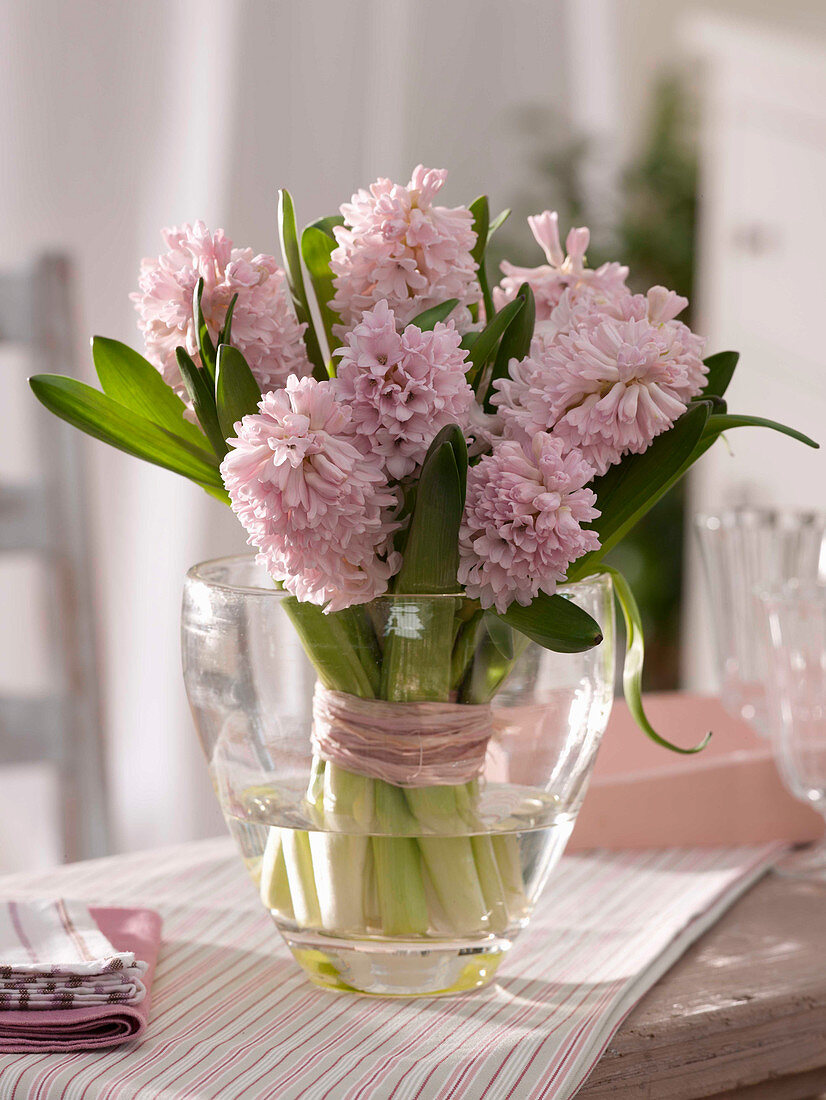 Hyacinthus (hyacinth) bouquet in pastel pink