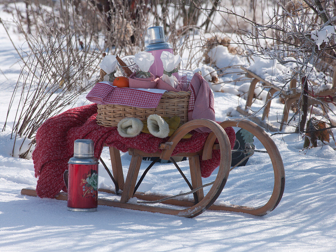 Sled in the snow with thermos, citrus and picnic basket