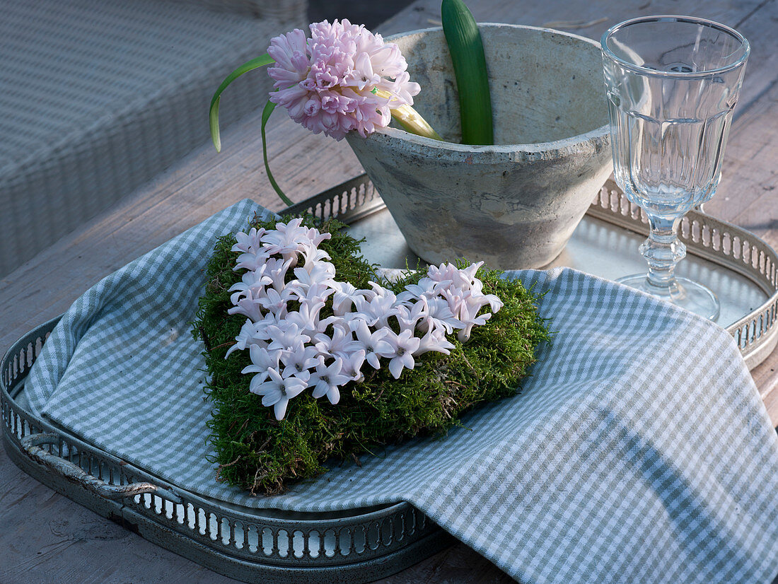 Moos - Herz mit Blüten von Hyacinthus (Hyazinthe) auf Metall - Tablett