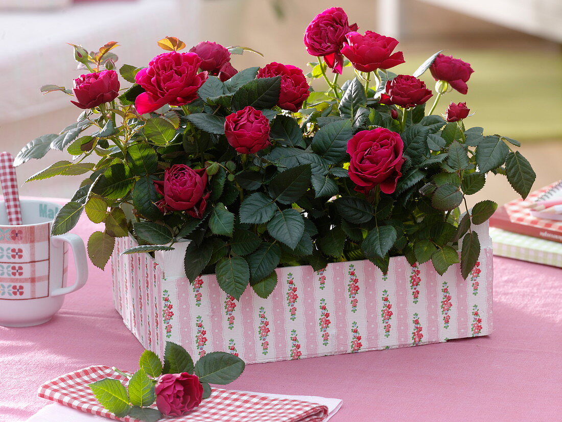 Roses in fruit staircase with napkin technique (5/5)