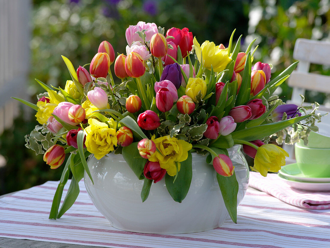 Schale mit Gesteck aus bunt gemischten Tulipa (Tulpen) und Pittosporum