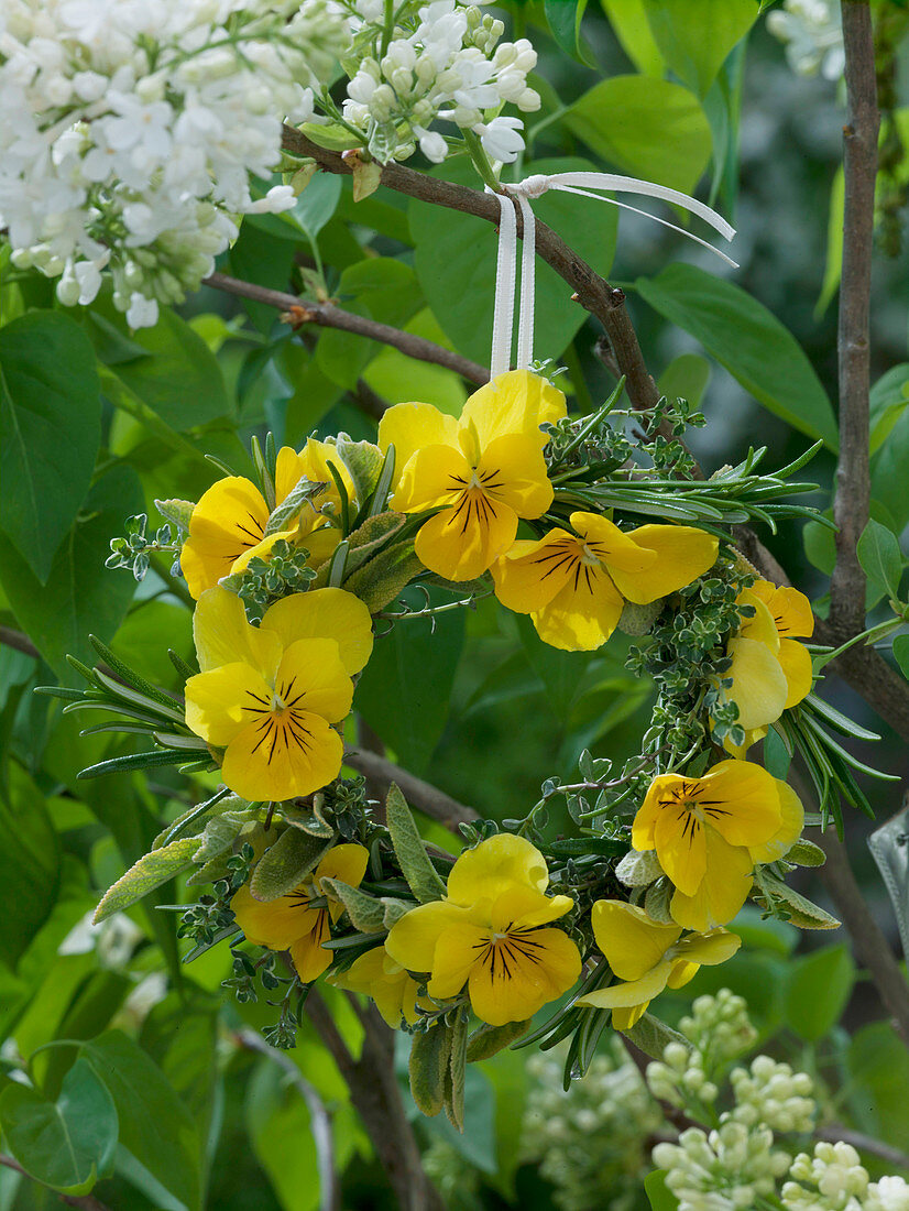 Small wreath of Viola cornuta (horned violet), Salvia (golden sage)