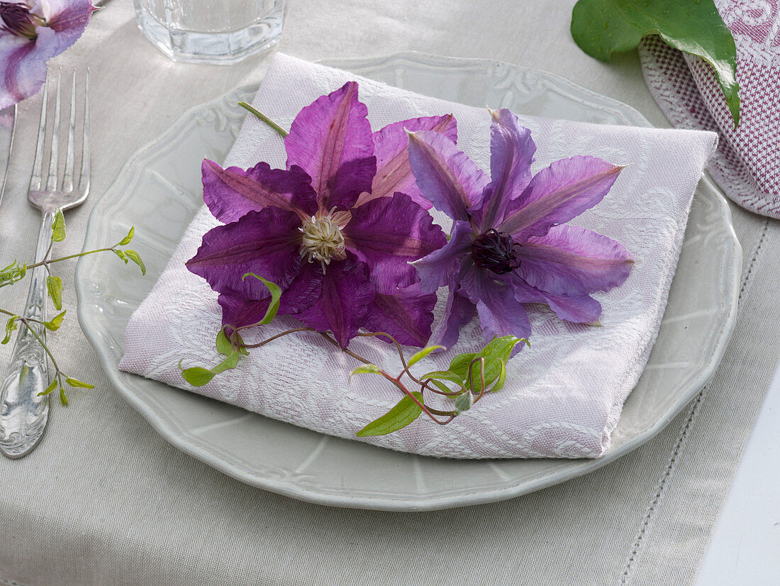 Blossoms of Clematis (woodland vine) as napkin decoration