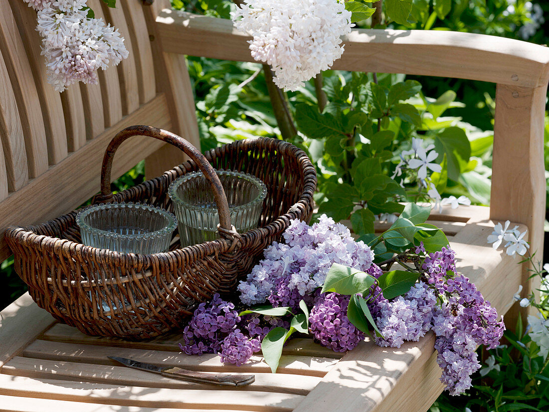 Bouquet of lilacs in a wicker basket (1/2)