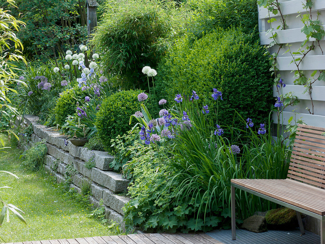 Perennial flowerbed on drywall