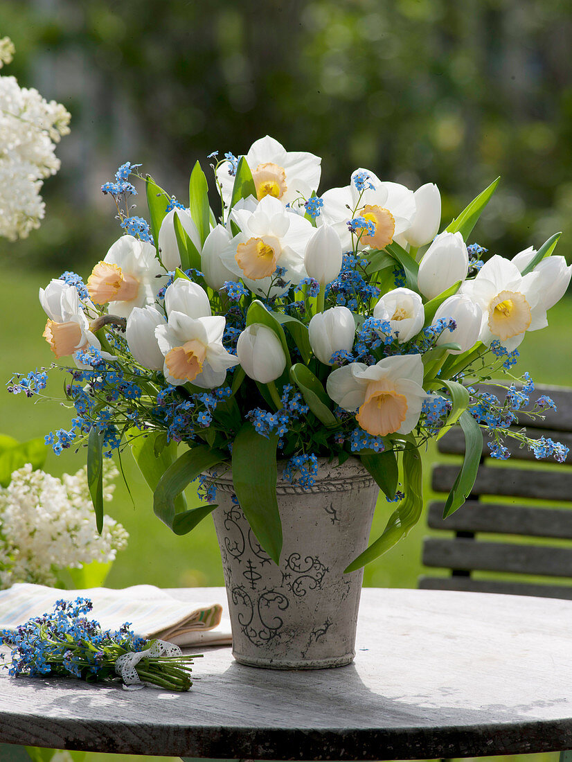 Strauß aus Tulipa 'White Dream' (Tulpen), Narcissus 'Salome' (Narzissen)