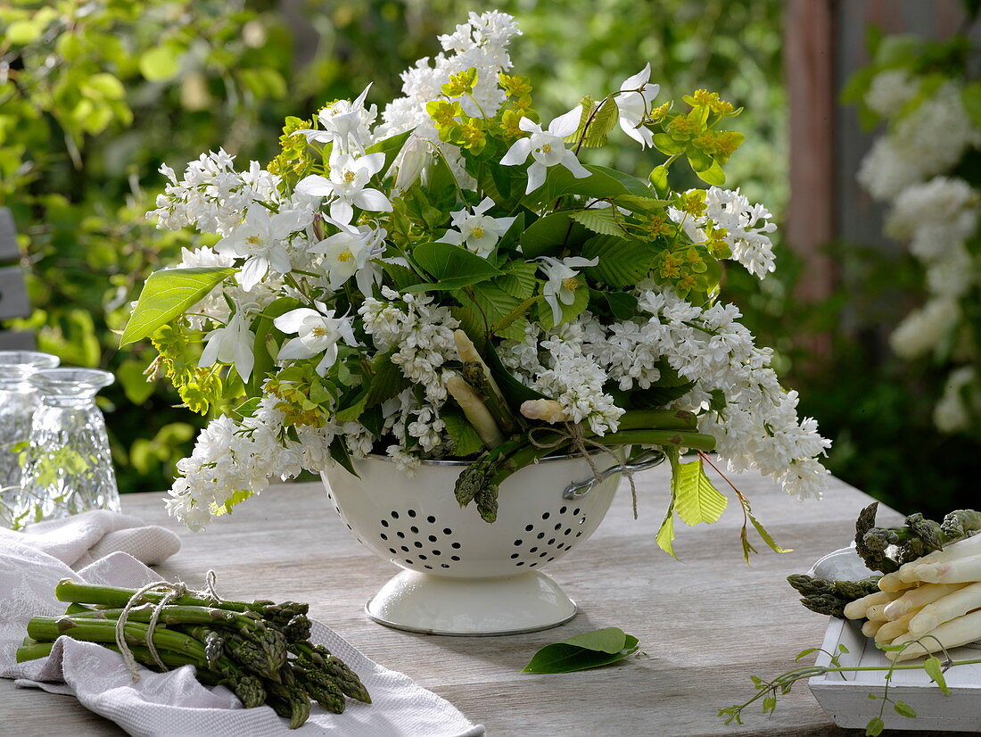 White scented bouquet of Syringa (Lilac), Aquilegia (Columbine), Euphorbia
