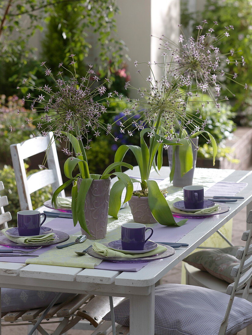 Table decoration with Allium schubertii (hedgehog leek)