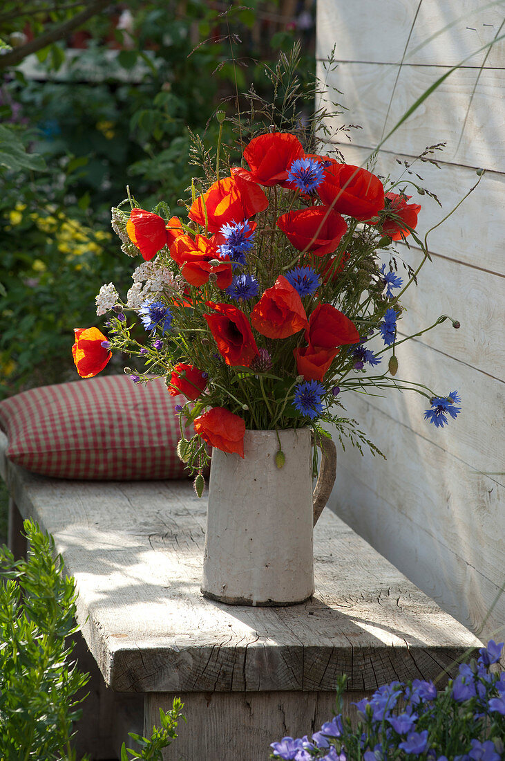 Meadow bouquet of Papaver rhoeas (corn poppy), Centaurea caerulea