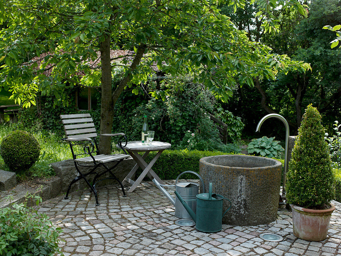 Schattiger Sitzplatz unter Prunus (Kirschbaum)