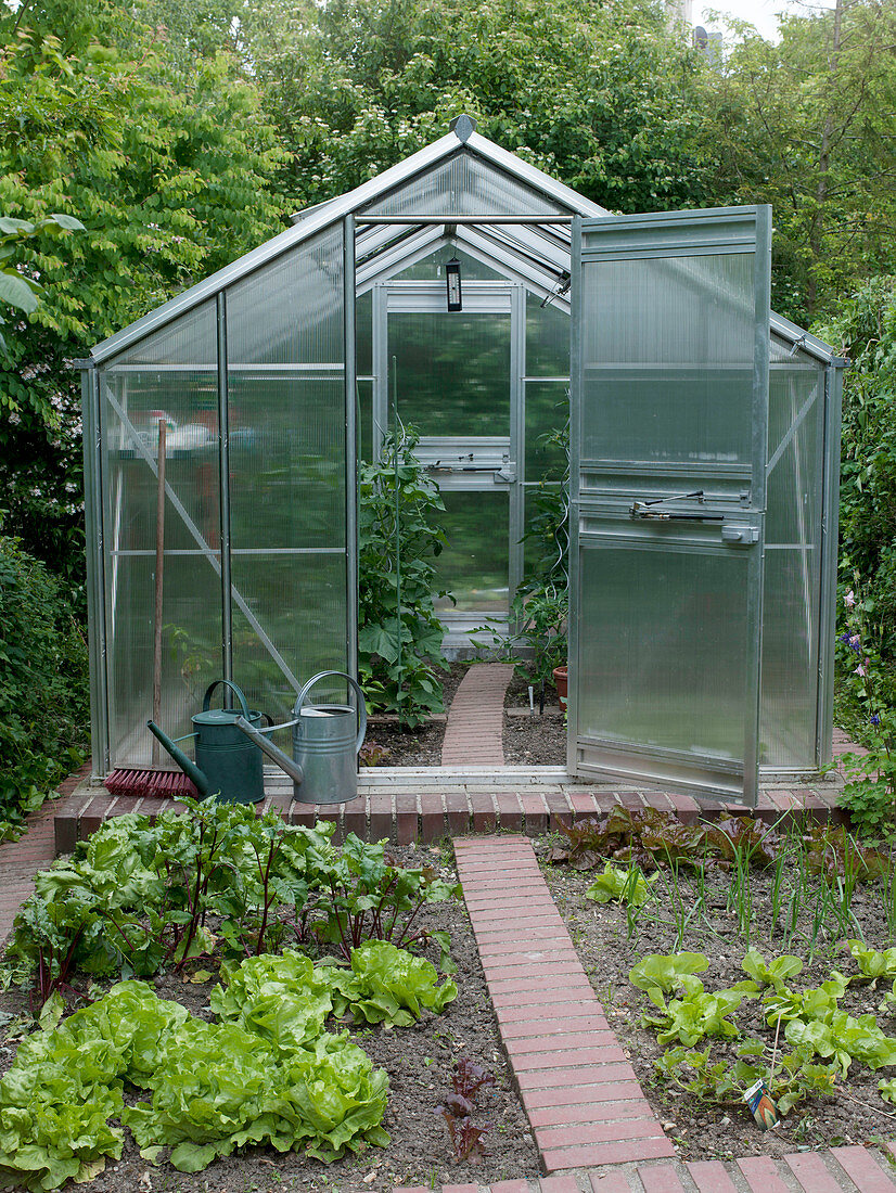 Greenhouse with Cucumis (cucumbers) and Lycopersicon (tomatoes)