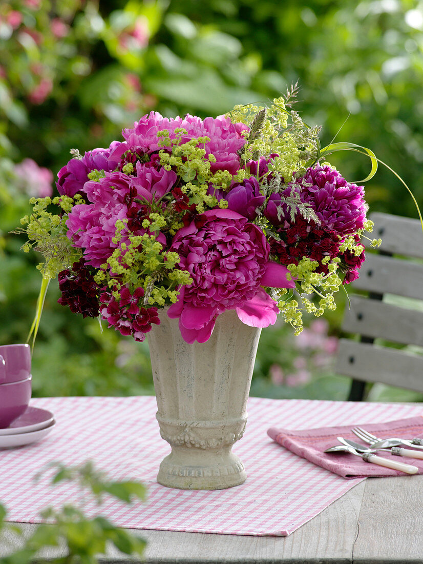 Early summer bouquet of Paeonia (peonies), Dianthus barbatus