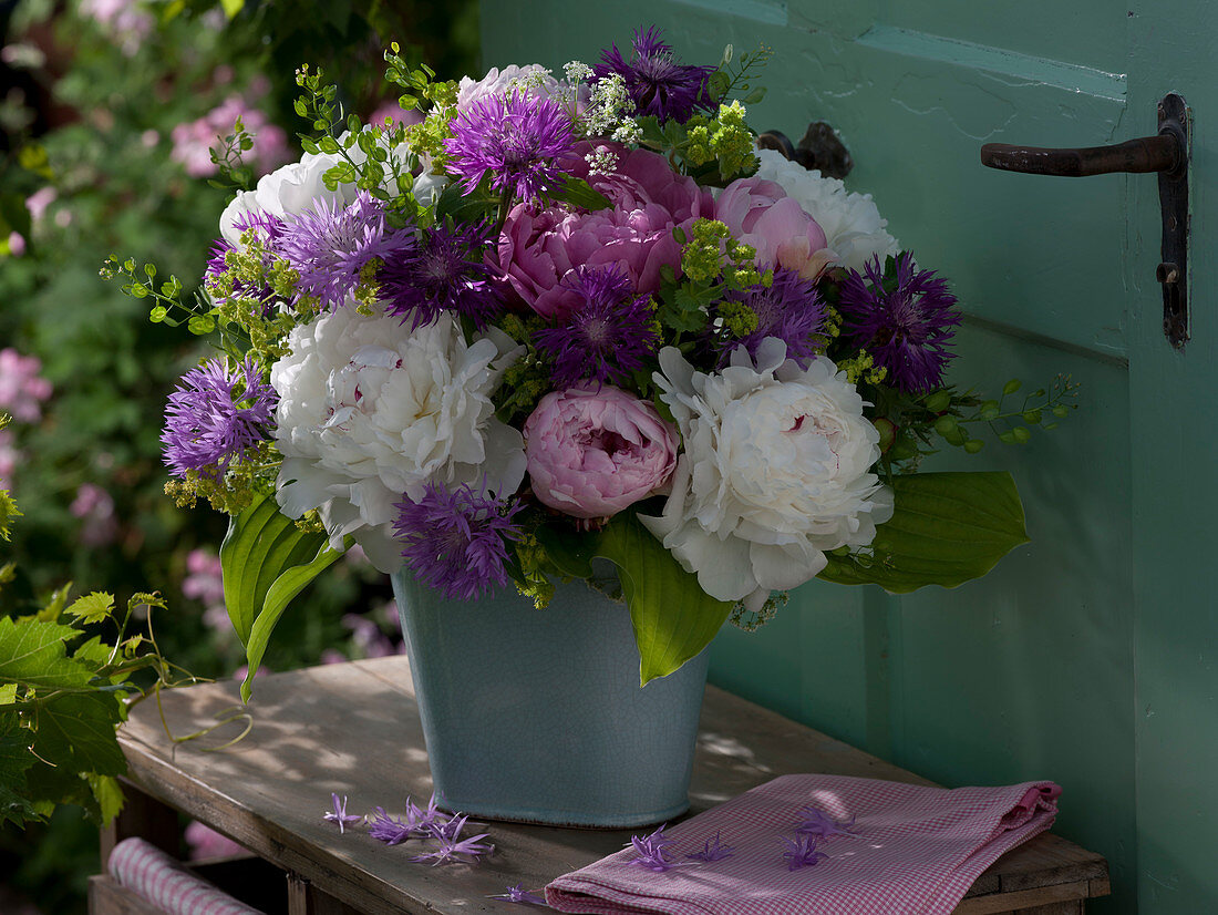 Early summer bouquet, Paeonia (Peony), Centaurea montana