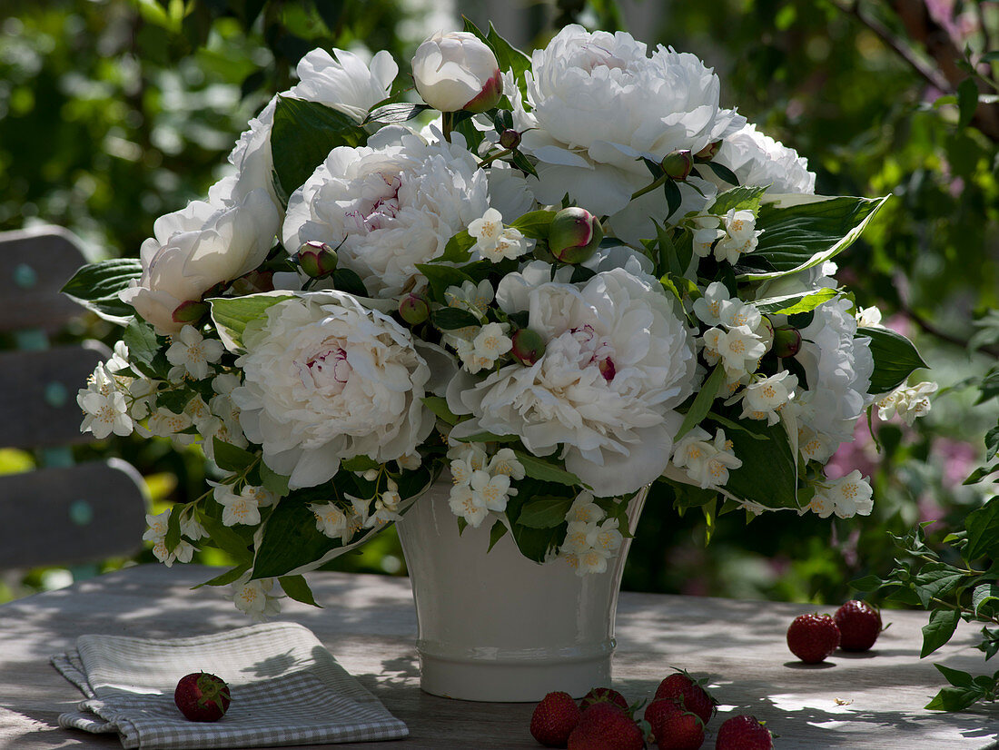 Duftstrauß aus Paeonia lactiflora 'Festiva Maxima' (Pfingstrosen)