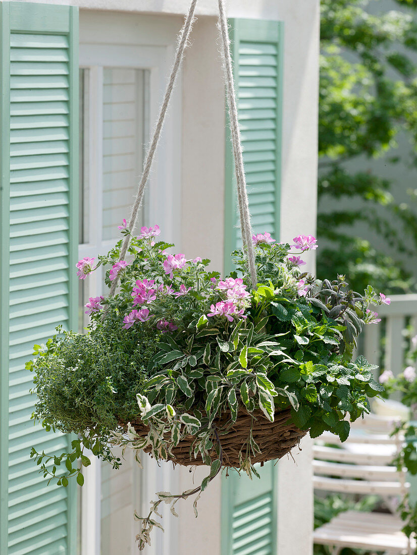 Herbal flower basket with edible flowers