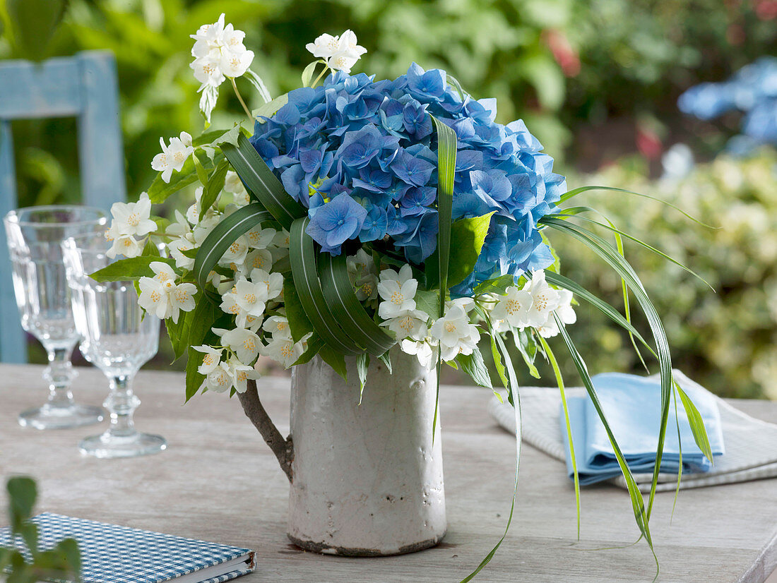 Hydrangea (blue hydrangea flower), Philadelphus coronarius