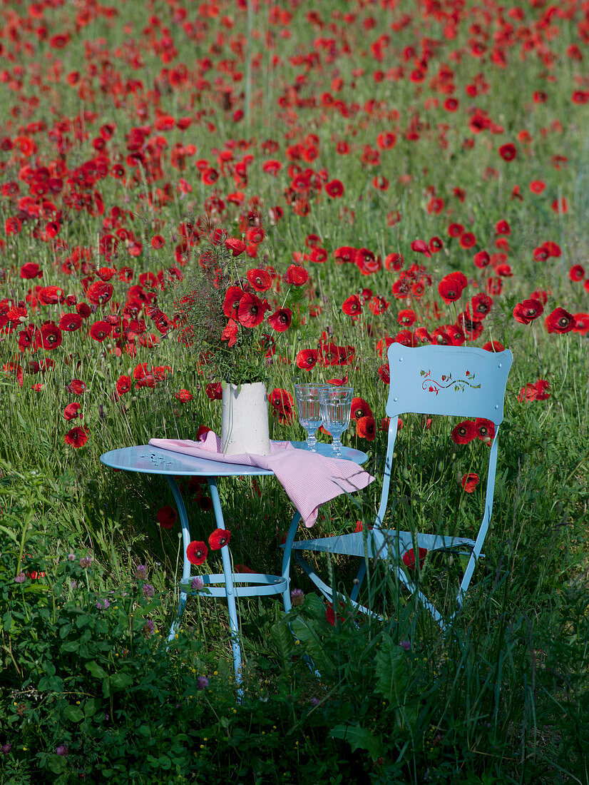 Blauer Stuhl und Tisch am Mohnblumenfeld