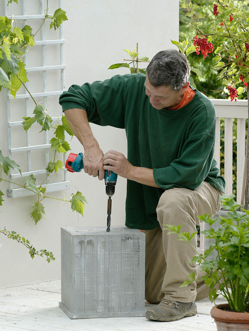 Plant a snack balcony