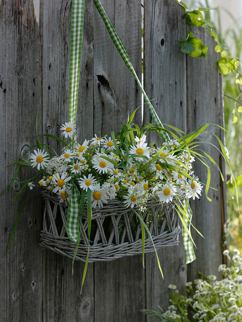 Basket with small bouquets of Tanacetum, Leucanthemum