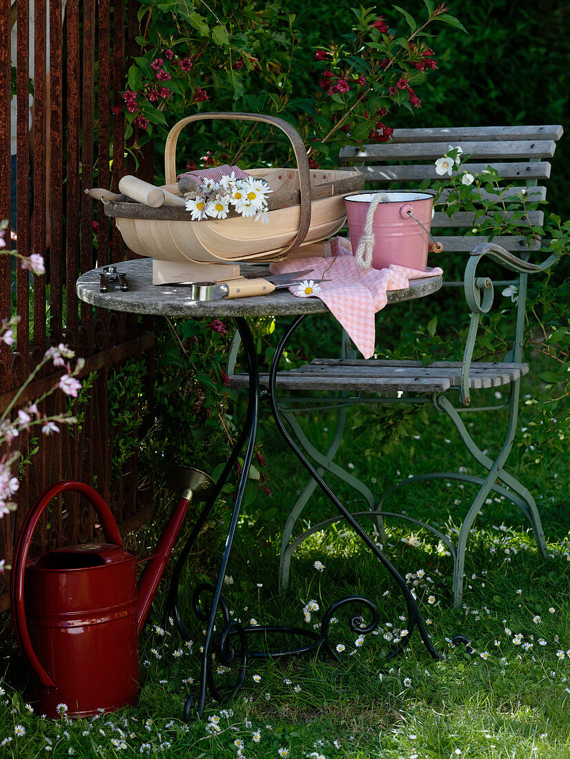Table and chair in the garden next to Weigelia 'Bristol Ruby' (Weigelie)