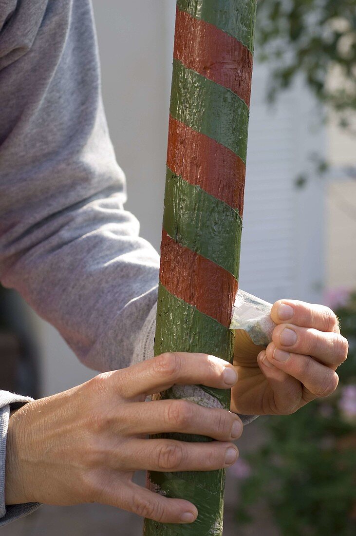 Brightly painted clay pots on stakes as a shelter for beneficial insects (7/13)