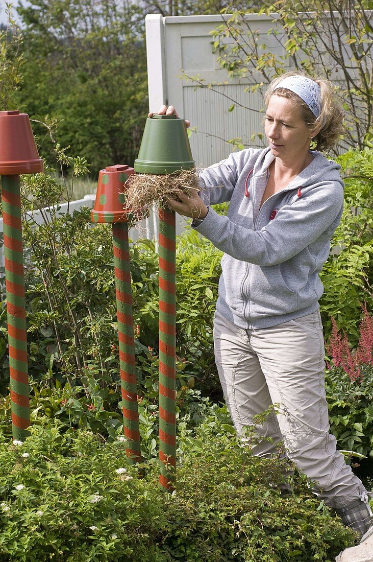 Colorfully painted clay pots on piles as beneficial shelter