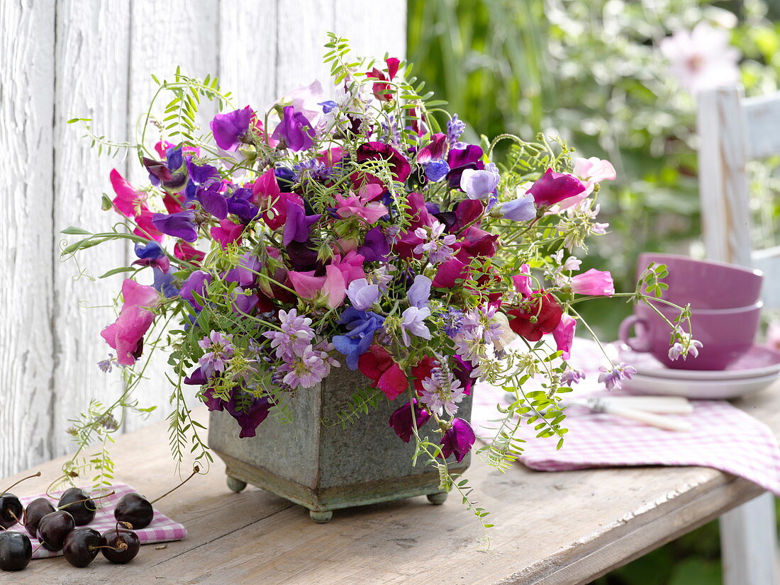 Strauß aus Lathyrus odoratus (Duftwicken), Vicia cracca (Vogelwicken)