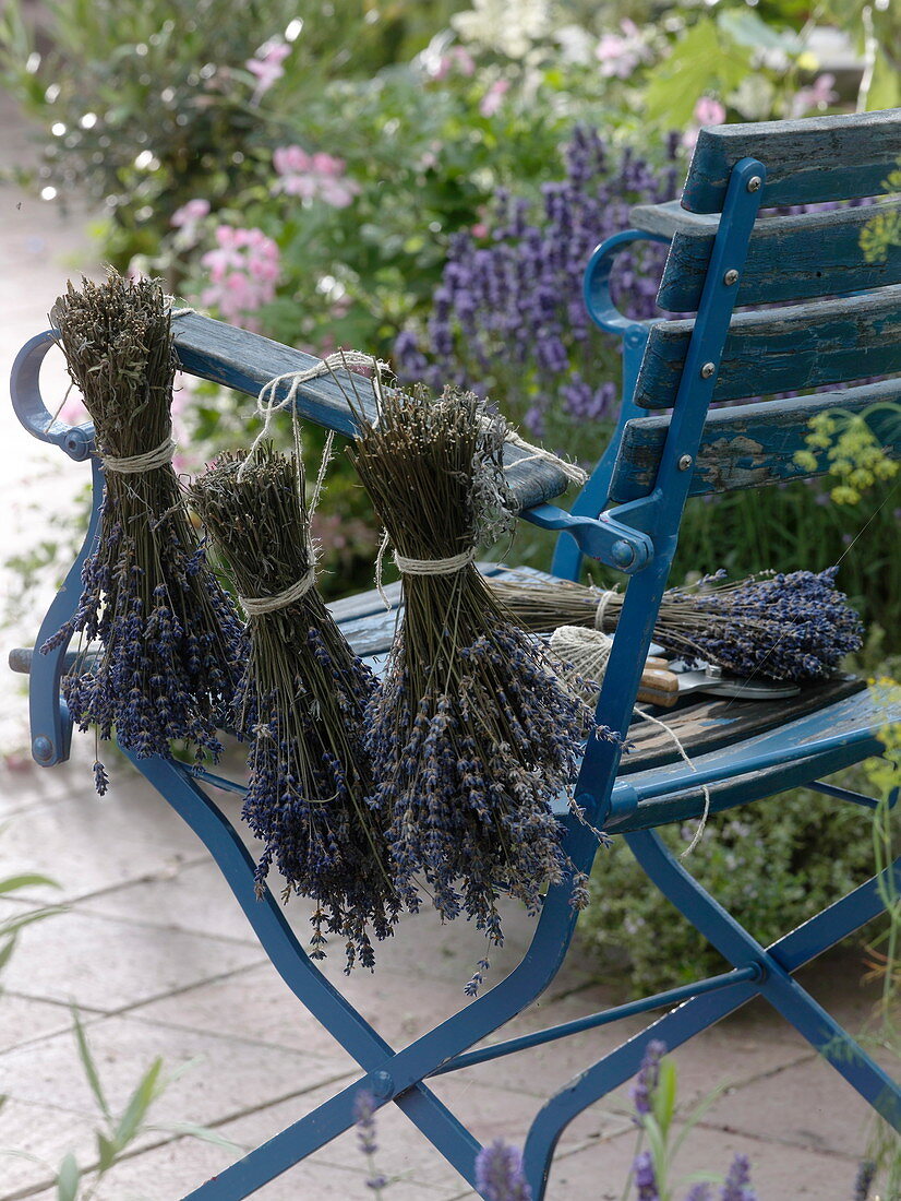 Bouquet of herbs tied to a chair