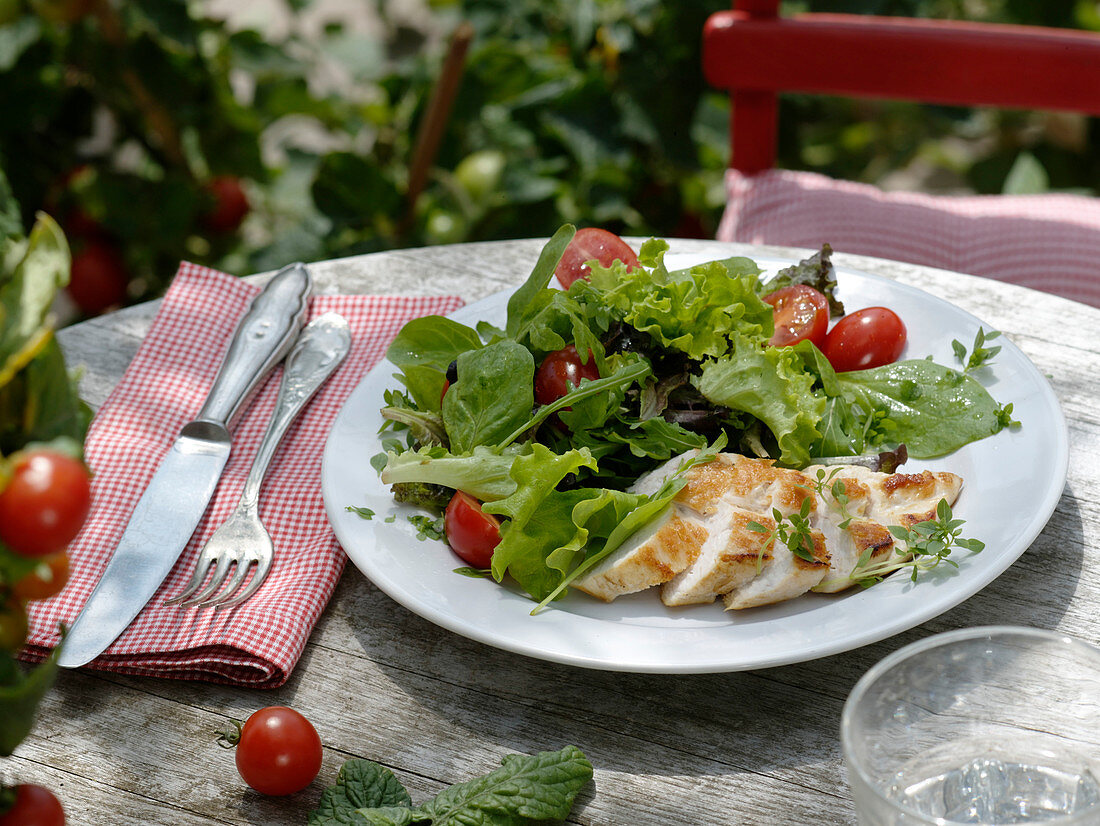 Fried chicken breast fillet with Lactuca 'Babyleaf-Mix' salad