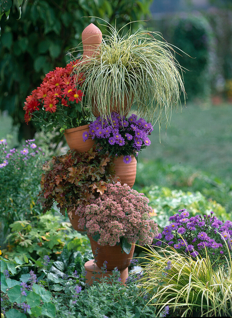 Terracotta tower with Carex hachijoensis 'Evergold' (Variegated sedge)