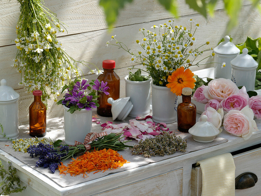 Still life from medicinal plants and tea herbs