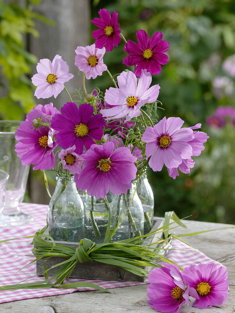 Small bottles with Cosmos (daisies) in wooden box