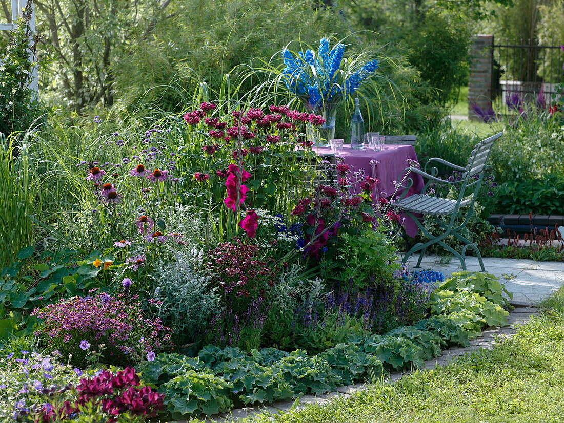 Monarda 'Cambridge Scarlet' (Indian nettle), Gladiolus (gladiolus)