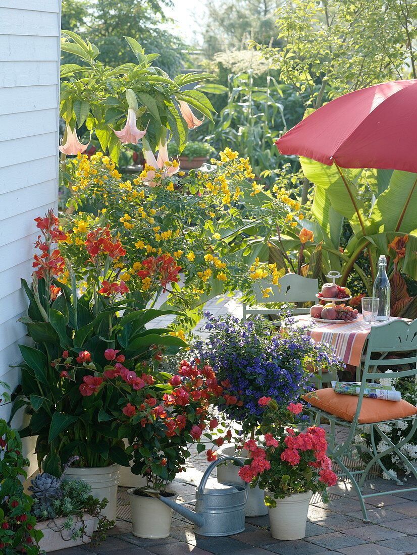 Kübelpflanzen-Terrasse