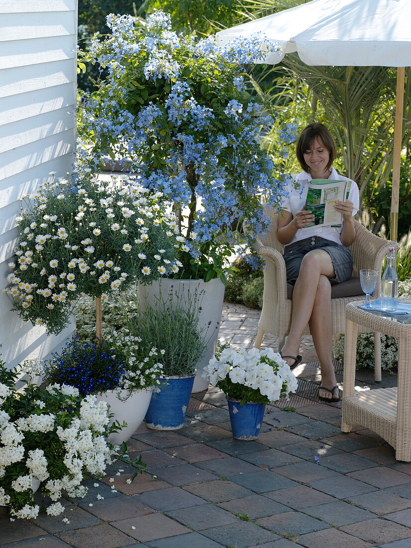 Blue-white terrace in partial shade