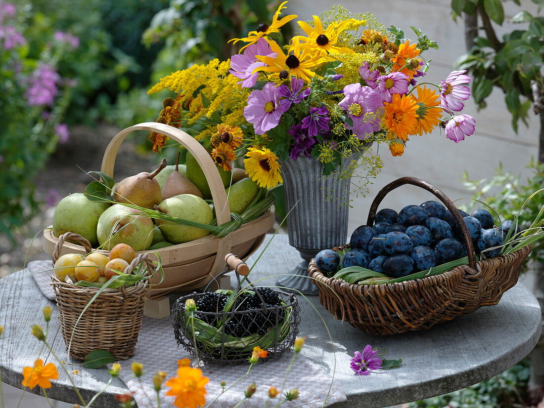 Frisch geerntete Birnen, Zwetschgen, Mirabellen und Brombeeren in Körben