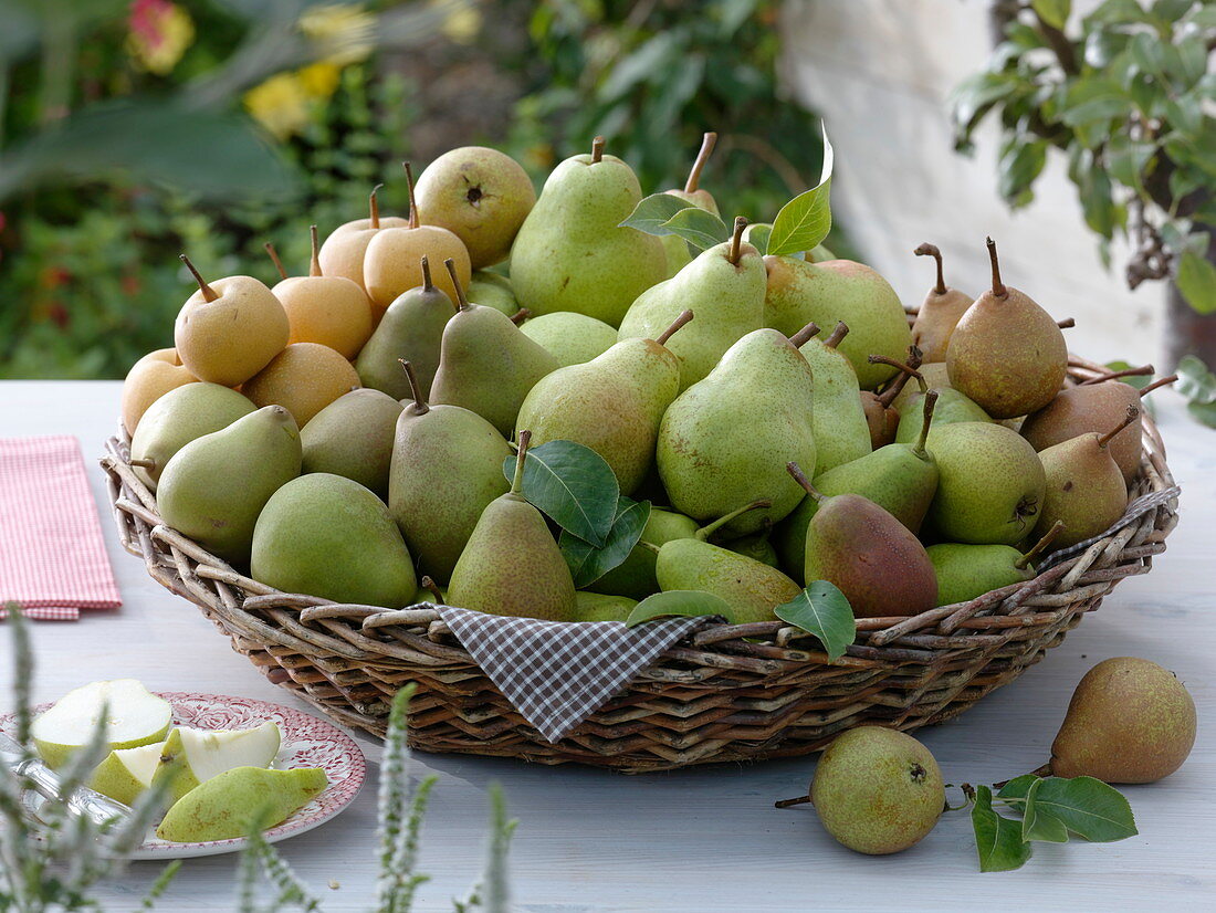 Flat basket with different pears