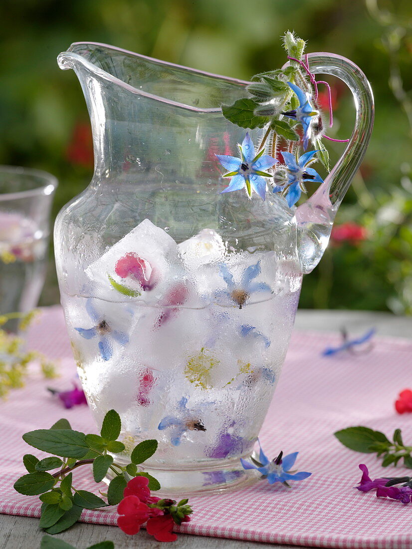 Ice cubes with frozen herb blossoms