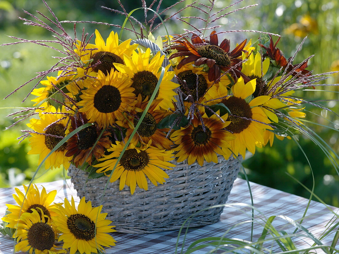 Late summer flower arrangement in a basket with handles