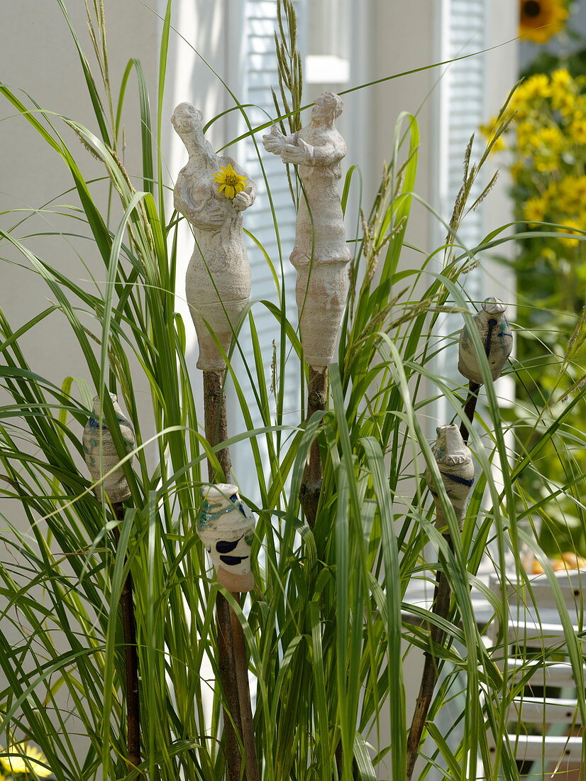 Spartina (golden bar grass) in terracotta bucket