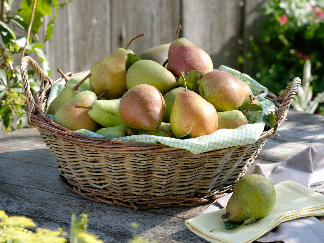 Various pears in wicker basket