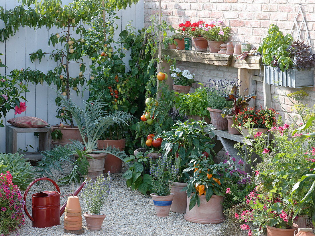 Naschterrasse mit Gemüse, Obst und Kräutern