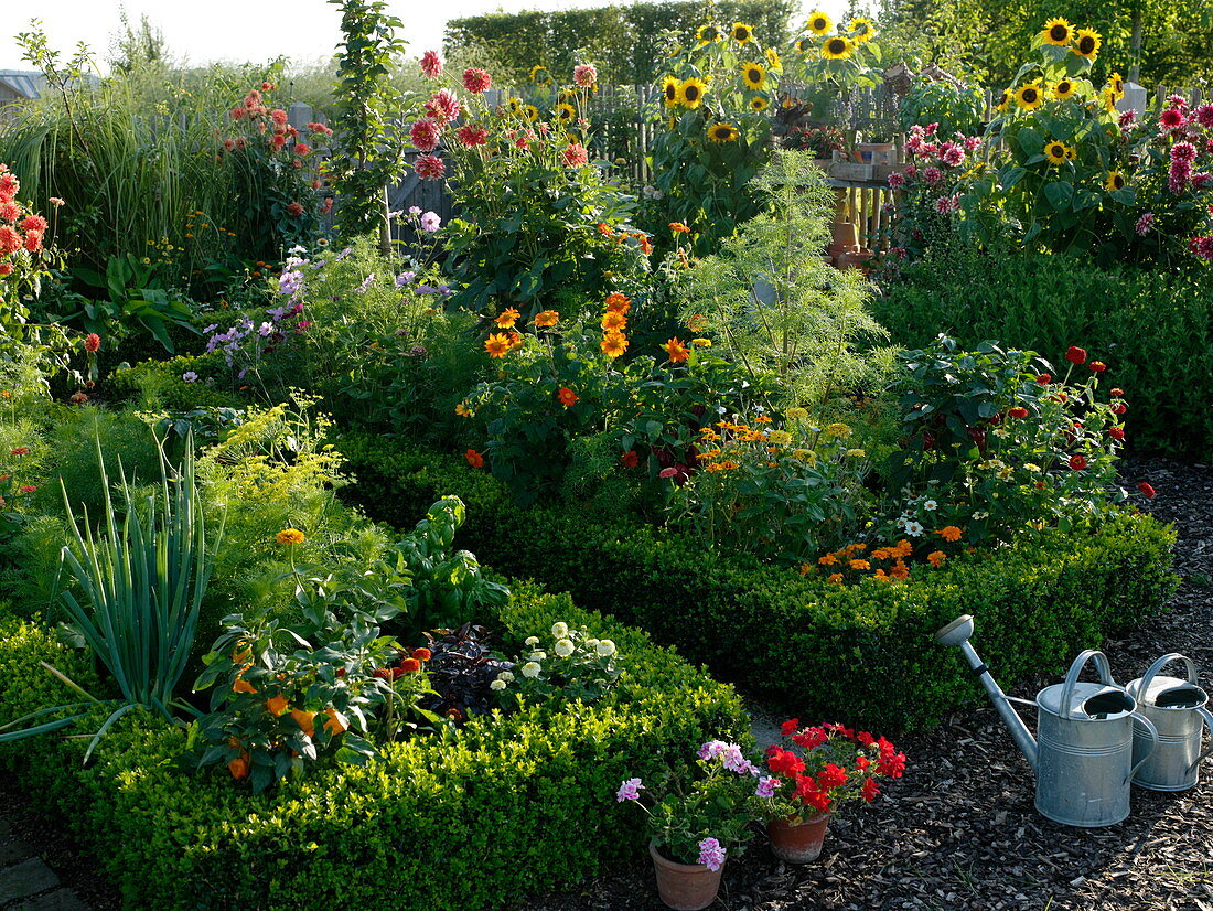 Spätsommer im Bauerngarten