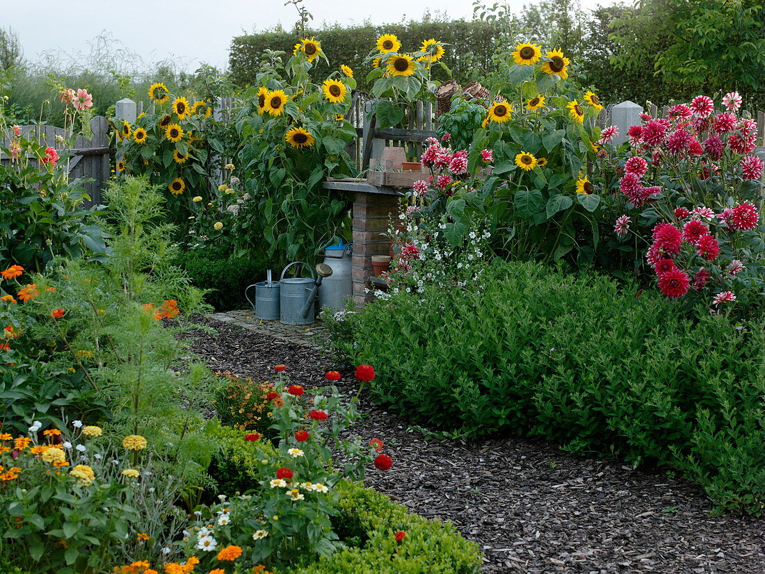 Late summer in the farmers garden