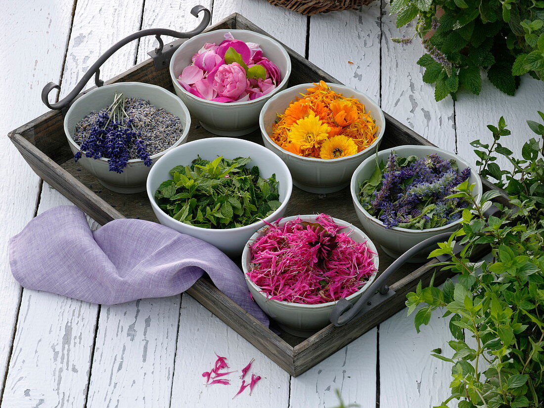 Small bowl of flowers and leaves of tea and scented herbs